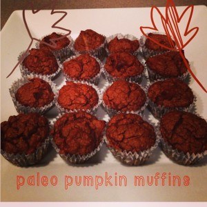 pumpkin muffins